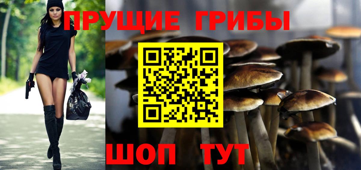 Галлюциногенные грибы GOLDEN TEACHER Благодарный