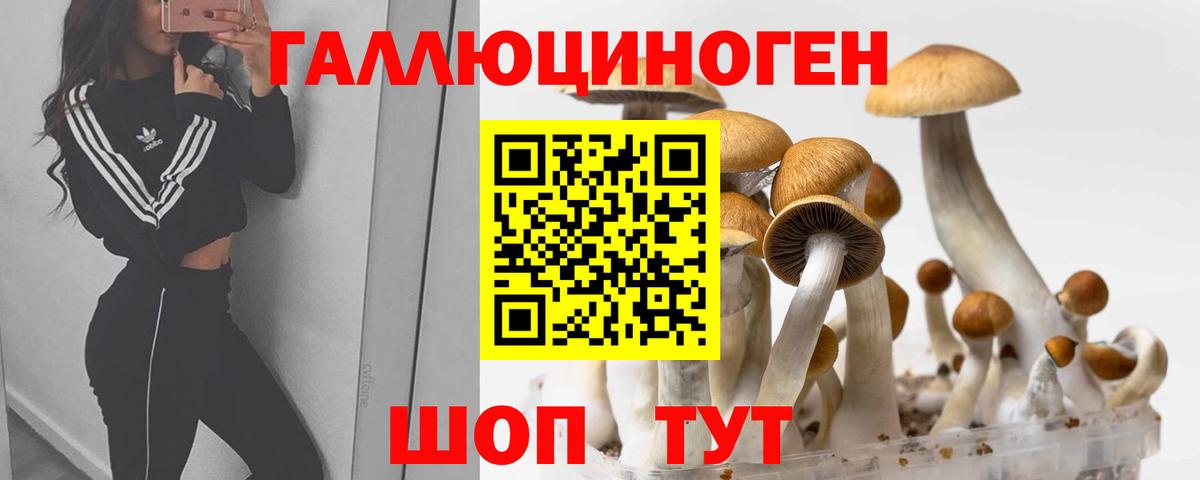 Благодарный  цены наркотик  Вход с VPN  Галлюциногенные грибы прущие грибы 